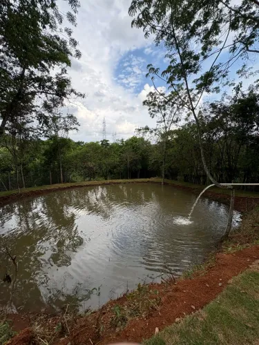 Terreno dentro da Cidade com água abundante!