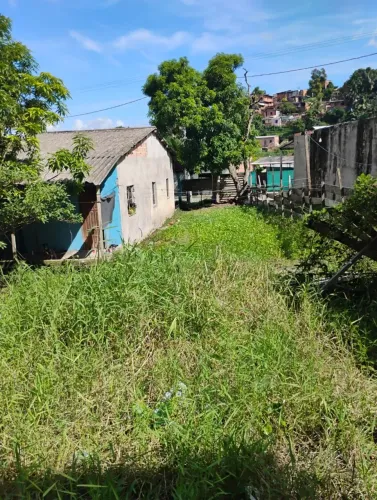 Roçador & Jardineiro.. limpeza e cia..