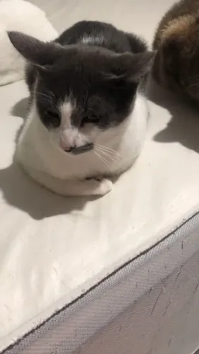 Gata 