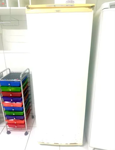 Freezer Cônsul 