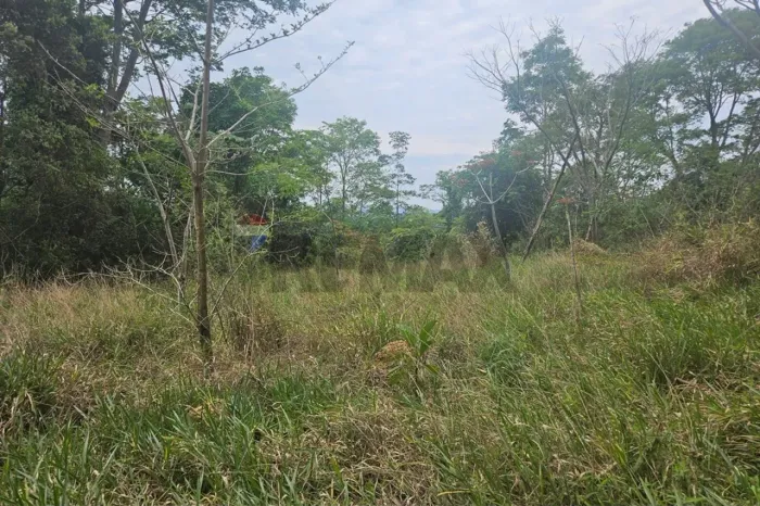 Fazenda Montueira à Venda em Carmópolis de Minas/MG de 89.50 hectares