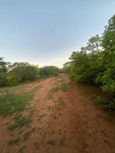 Vende-se ou troca-se sítio entre Santa Luzia e Jurema