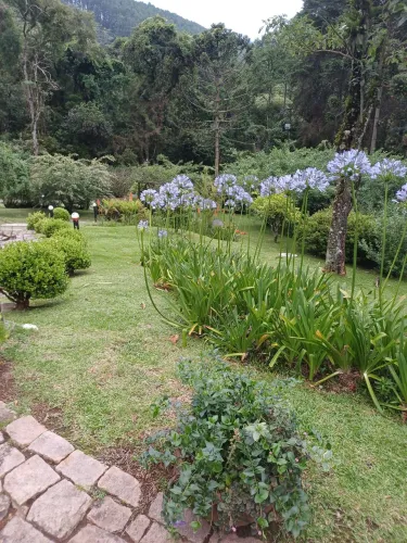 Jardinagem