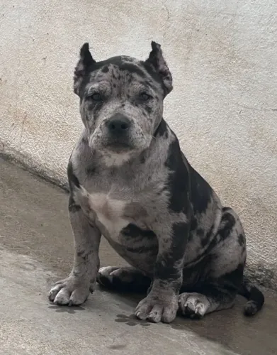 VENDE-SE