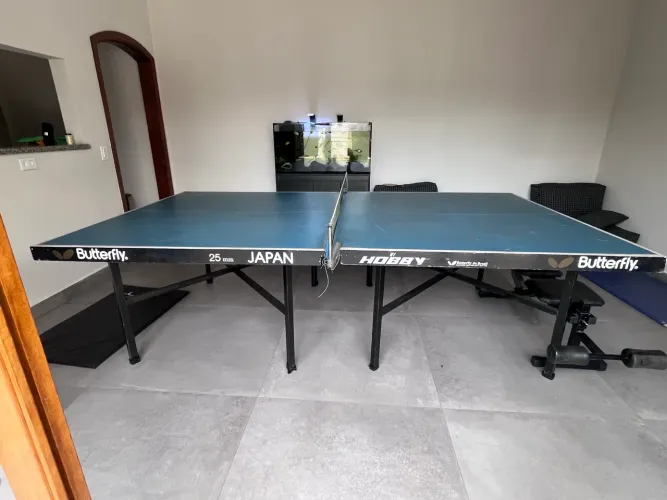 Mesa de tênis de mesa / pingue pongue