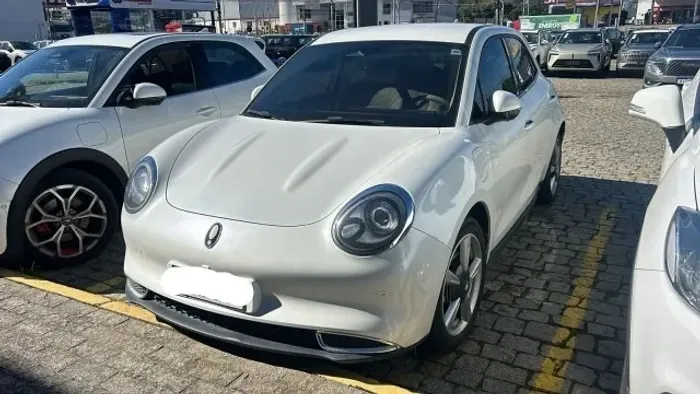 GWM Ora 03 Skin (elétrico) 2024