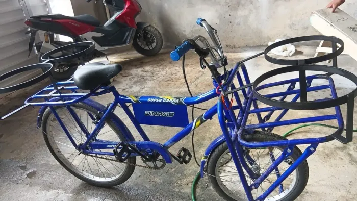 Bicicleta de Carga