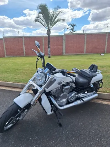 Harley V - Road Muscle Porsche 1250cc VRSCF