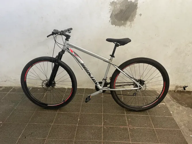Bike Aro 29