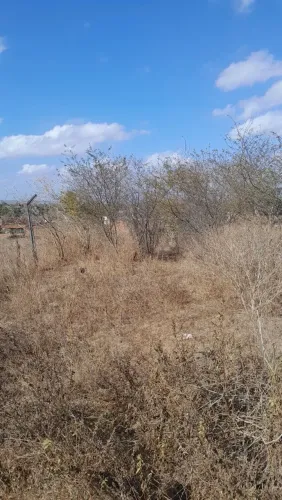 Ótima oportunidade. 