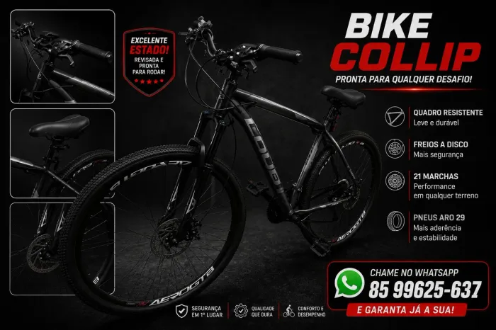 Bike aro 29 balão