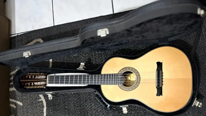 Viola luthier 