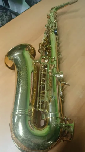 SAX ALTO WINNER TORRANDO