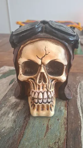 Caveira para decoração
