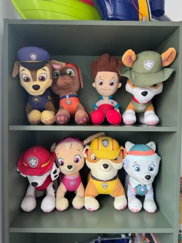 Coleção completa da Patrulha Canina