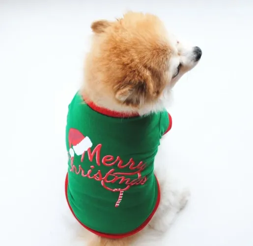 Roupa pet natal