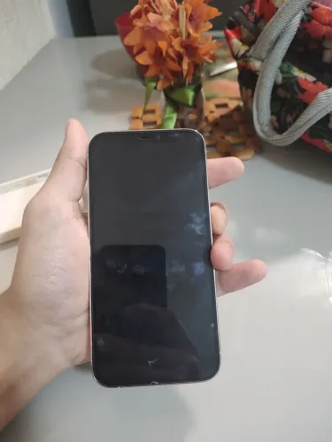 iPhone 12 Pro 128GB Defeito na CPU/Placa Leia