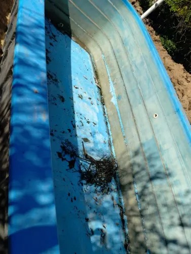 Vendo piscina