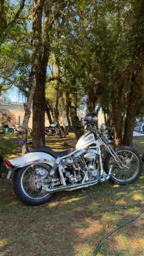HARLEY-DAVIDSON SHOVELHEAD 1978/79 OBRA DE ARTE EM DUAS RODAS