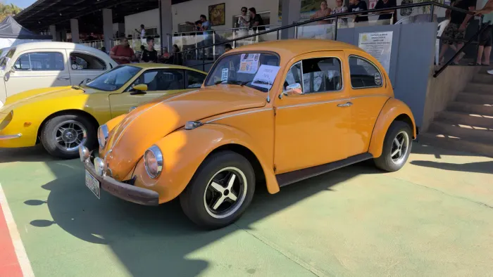 Volkswagen Fusca Fusca (gasolina) 1974