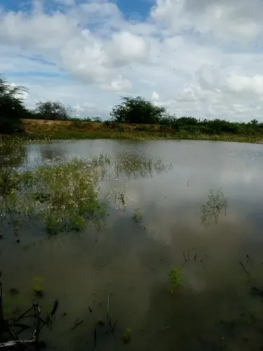 Fazenda com 300 hectares na região de Barcelona