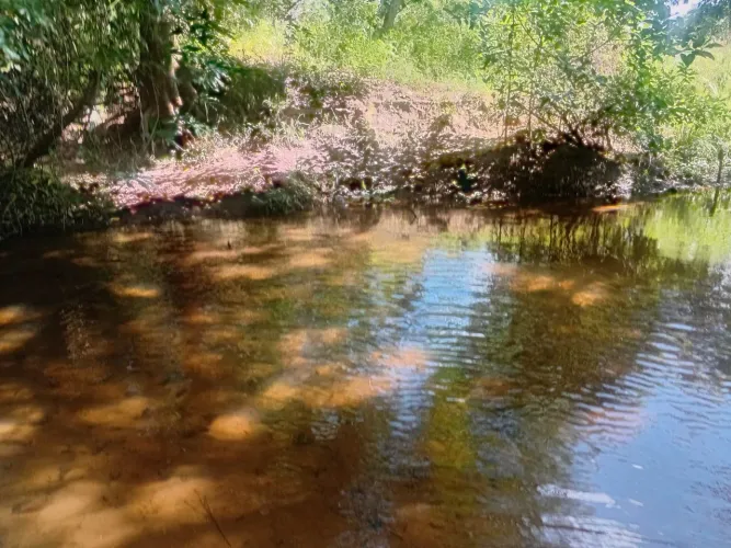 Sítio em Pindobaçu Bahia apenas 150 mil