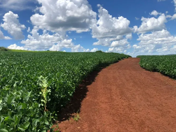 FAZENDA RURAL em NOVA UBIRATÃ - MT, Rural