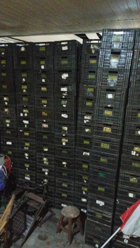 Caixas para sacolão 