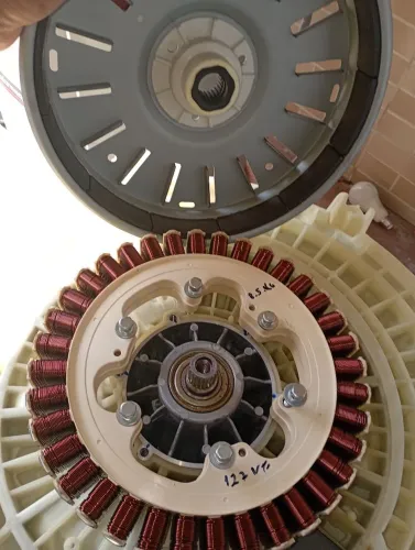 Estator e rotor lava e seca Samsung 127 volts