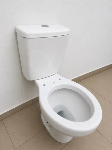 Vaso Sanitário com Caixa Acoplada Oval (Celite)