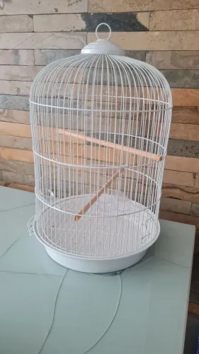 Gaiola Semi Nova para Pássaros