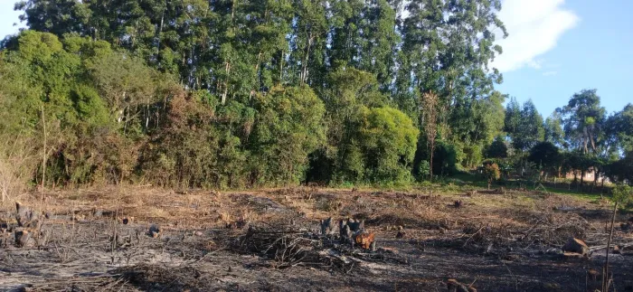 Vende -se área de terra