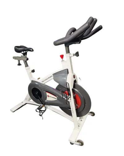Bike Spinning Schwinn Ac Performance Profissional 120kg