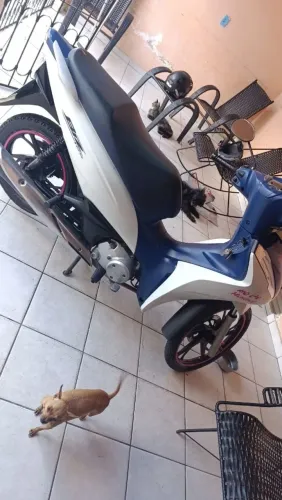 Apenas venda