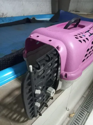CAIXA DE TRANSPORTE DE ANIMAIS PET