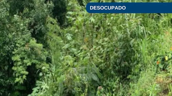 Terreno no Bairro Flor da Serra em Joaçaba/SC
