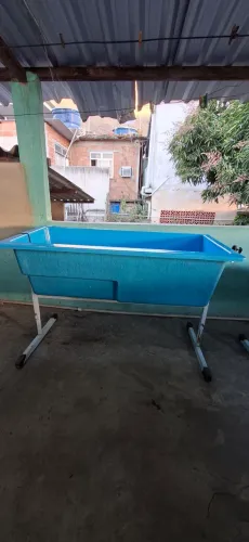 Banheira para pets.