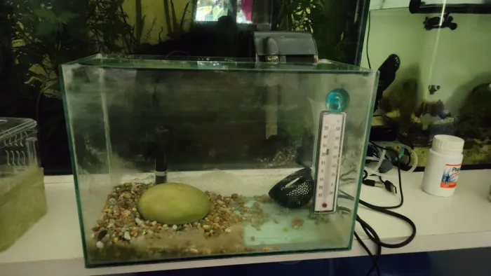 Aquário 9L