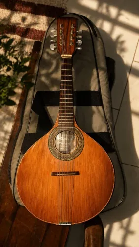 Bandolim Giannini 