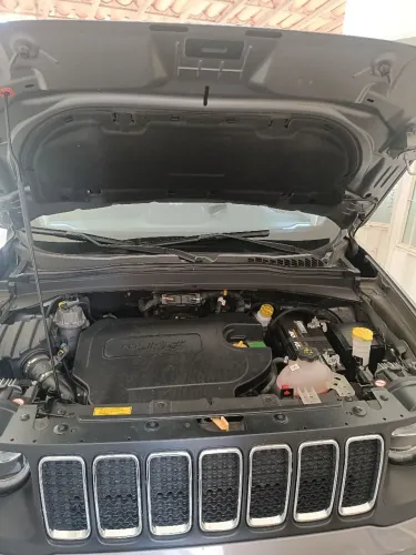 Jeep Renegade Longitude 2.0 4X4 TB Diesel AUT 2021