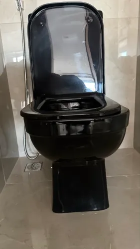 Vaso Sanitário com Caixa Acoplada Preto