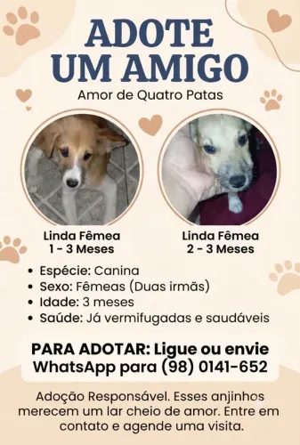 Adoção responsável
