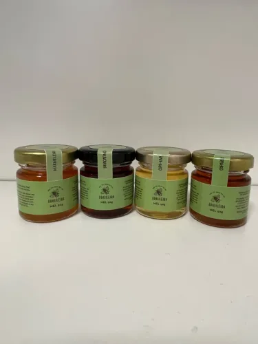 Kit de Mel 4 floradas variadas