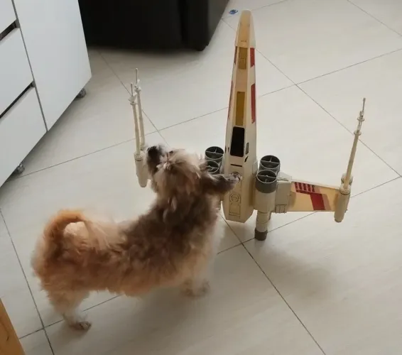 Star Wars - Nave X-Wing Gigante