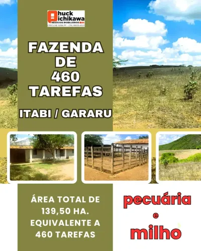FAZENDA de 460 tarefas - ITABI / GARARU