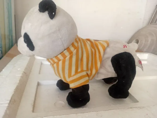 Urso que dança é libera música .