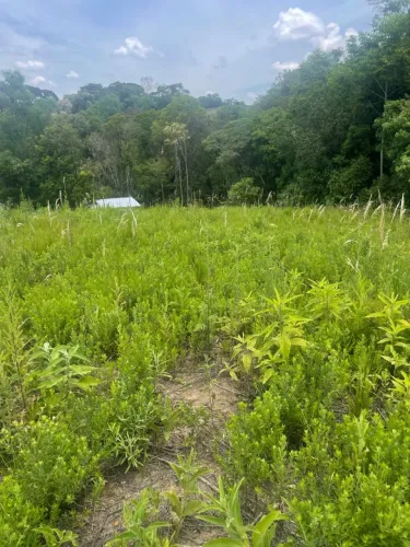 ÓTIMO terreno para Chácara em Quitandinha 