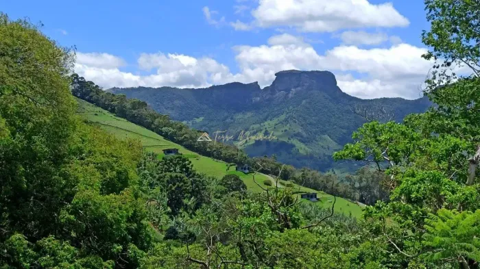 Terreno rural na Serra do quilombo para venda - São Bento do Sapucaí