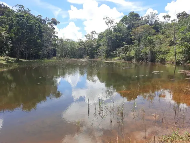 Fazenda escriturada super arborizada com represa - aprox 6,2 hectares