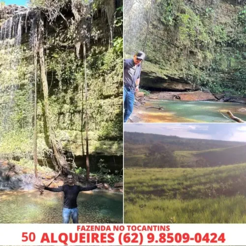 Vendo Fazenda em Tocantins Porto Nacional 50 Alqueires